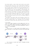[유통전략] 월마트 유통시스템 분석-12