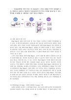 [유통전략] 월마트 유통시스템 분석-13