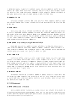 [마케팅사례] 올림푸스 디지털카메라 마케팅성공사례-14