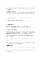 [미디어경제학] MBC PLUS(mbc플러스) 경쟁전략-13