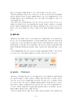 [유통전략] 롯데마트 유통시스템 분석-12