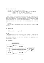 [유통전략] 롯데백화점 유통시스템 분석-16