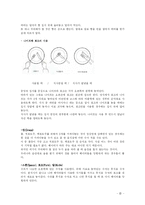 서양예절에대하여-6