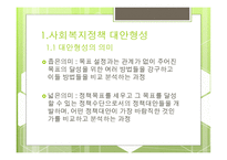 대안탐색과 정책결정론 -3
