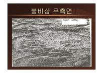 계유명 아미타 삼존 불비상 - 불비상의 명문 -9
