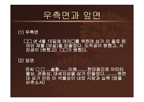 계유명 아미타 삼존 불비상 - 불비상의 명문 -11