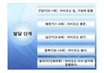 아동의 발달 - 아동기 -17