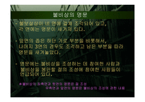 계유명아미타삼존불비상 - 소개 -6