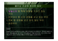 계유명아미타삼존불비상 - 소개 -14