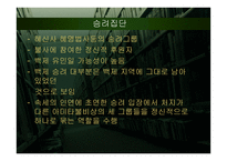 계유명아미타삼존불비상 - 소개 -18