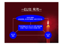 EU(EuropeanUnion) - 의미 -6