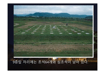 선덕여왕 - 최초 여왕의 탄생과 그 배경 -20