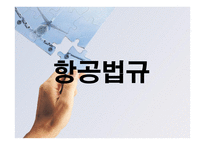 항공법규 - 비행장의 설치 허가 신청 -1