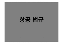 항공종사자 - 자격증명의 종류 -1
