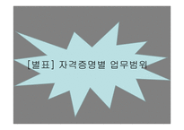 항공종사자 - 자격증명의 종류 -5