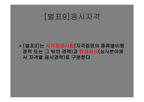 항공종사자 - 자격증명의 종류 -13