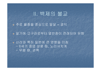 서산마애삼존불 - 삼국의 불교 -4