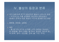 서산마애삼존불 - 삼국의 불교 -6