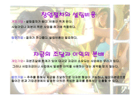개인기업과 법인기업 - 자금의 조달과 이익의 분배 -2