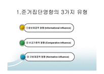 준거집단이 소비자선택에 미치는 영향 - 준거집단영향의 유형, 준거집단의 영향력의 결정요인 -3