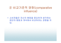 준거집단이 소비자선택에 미치는 영향 - 준거집단영향의 유형, 준거집단의 영향력의 결정요인 -6