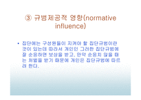 준거집단이 소비자선택에 미치는 영향 - 준거집단영향의 유형, 준거집단의 영향력의 결정요인 -8
