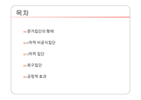 준거집단 중 긍정적 영향을 미치는 집단 -2