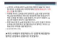 표현의 자유, 그 울타리를 넘어 - 제한사영가 필요한가 -4