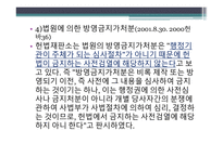 표현의 자유, 그 울타리를 넘어 - 제한사영가 필요한가 -11