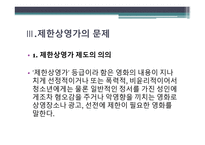 표현의 자유, 그 울타리를 넘어 - 제한사영가 필요한가 -17