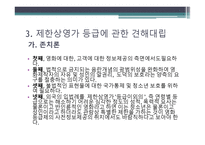 표현의 자유, 그 울타리를 넘어 - 제한사영가 필요한가 -20