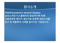 주식회사 PED 압전 디스플레이패널 생산 - 사업계획서 -3