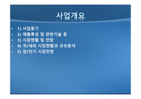 주식회사 PED 압전 디스플레이패널 생산 - 사업계획서 -6