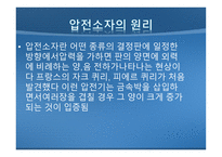 주식회사 PED 압전 디스플레이패널 생산 - 사업계획서 -8