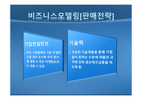 주식회사 PED 압전 디스플레이패널 생산 - 사업계획서 -16