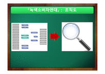 녹색소비자연대 - 사업소개, 조직도 -5