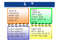 경쟁하는 이론들 - 기능주의 이론, 갈등이론 -2