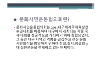 문화시민운동 중앙협의회 - 조직도, 주요활동 내용 -3