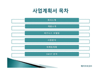 BABYPICK 사업계획서 -2