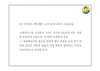 빽다방 기업분석과 성공요인 분석및 빽다방 마케팅전략 사례분석및 미래전략제시 PPT-10