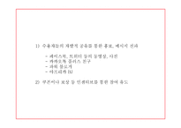 SNS마케팅 정의와 증가원인,장단점,기업활용방안 분석과 SNS마케팅 기업사례분석 및 미래방향연구 PPT-11