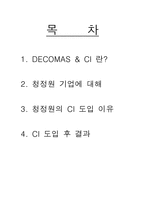 DECOMAS MARKETING - 청정원 -2