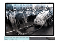 한국경제사 농업 -14