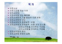 오프쇼어링과 아웃소싱에 대하여 -2
