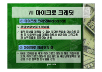 이자율 상한법과 그라민 은행 -13