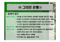 이자율 상한법과 그라민 은행 -16