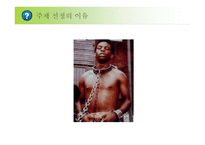 노예무역을 통해 본 아프리카-대서양 노예무역을 중심으로 -2