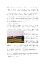도시사회와 농촌사회의  의식주 생활 비교 분석 -2