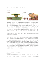 도시사회와 농촌사회의 의·식·주 생활조사 비교 분석 -3
