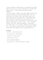 지역사회에서 일어난 지역사회문제와 지역사회개발운동 - 인천남구지역 -9